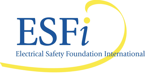 ESFI Logo